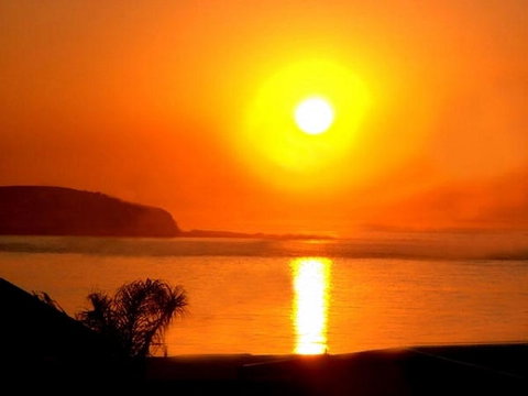 The Black Dolphin - Stayed 2