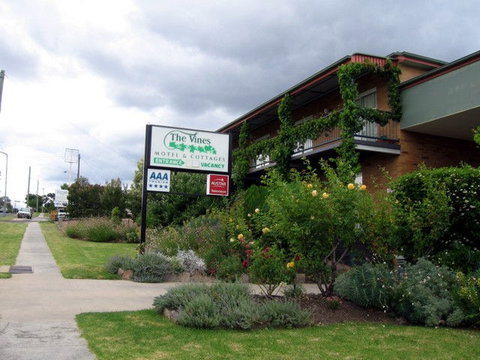The Vines Motel & Cottages - Stayed 0