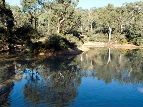 Toodyay Holiday Park & Chalets - Stayed 4