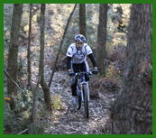 Twin Falls Bush Cottages - thumb 1