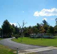 Wairo Beach Holiday Park - Stayed