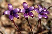 Wave Rock Hotel Motel - Stays Accommodation 7