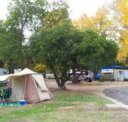 Wedderburn Pioneer Caravan Park - Stays Accommodation
