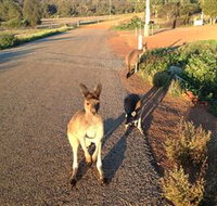 Bindoons Windmill Farm - Stayed