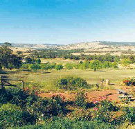 Pecan Hill Bed and Breakfast - Stayed