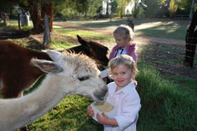 Treenbrook Cottages - Stayed 3