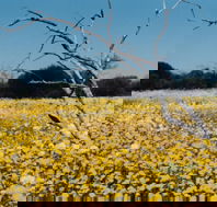 Wooleen Station - Stays Accommodation