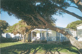 Yallingup Beach Holiday Park - Stayed 1