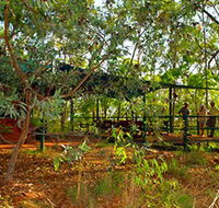 Arnhemland Barramundi Nature Lodge - Stayed
