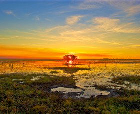 Wildman Wilderness Lodge - Stayed 2