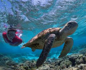 Lady Elliot Island Eco Resort - Stayed 1