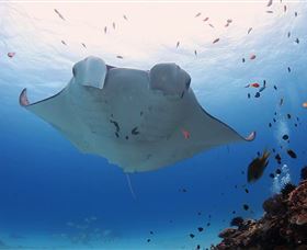 Lady Elliot Island Eco Resort - Stayed 3