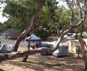 Bimbi Park Camping Under Koalas - Stayed 1