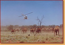 Kings Creek Station - Stayed 2