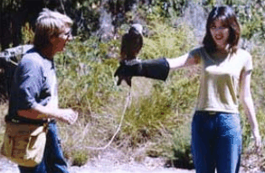 Eagles Heritage Raptor Wildlife Centre - Stayed 2