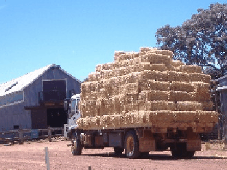 Avondale Discovery Farm - Stayed 1