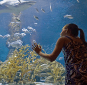 The Aquarium of Western Australia - Stayed