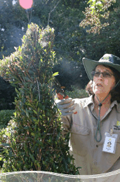 Roma Street Parkland - Stayed 1