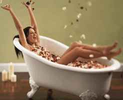 Toowong Village - Stays Accommodation