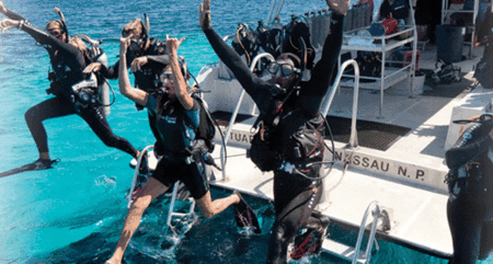 Snorkel Safari Brisbane - Stays Accommodation