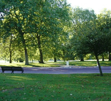 William Taylor Park - Stayed