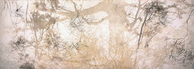 Dianne Tanzer Gallery & Projects - Stayed 3