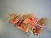 Brunswick Arts - Stayed 2