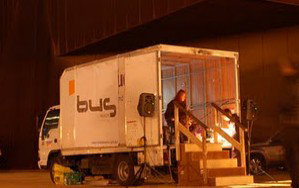 Bus Projects - Stayed 2