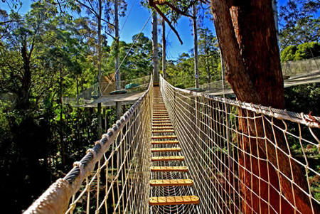 Thunderbird Park - Stays Accommodation 0