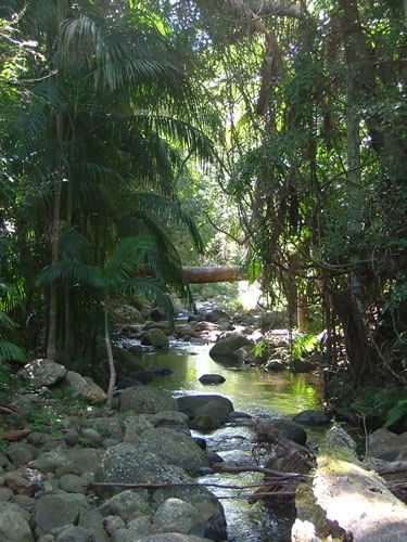 Thunderbird Park - Stays Accommodation 2