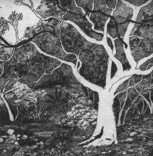 Tacit Contemporary Art - Stayed 0