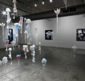 Nellie Castan Gallery - Stayed