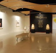 Counihan Gallery In Brunswick - Stayed