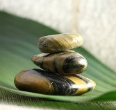 The Nature of Balance - Stays Accommodation