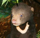 Perth Zoo - Stayed 0