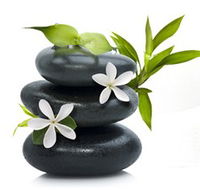 Tea House Spa Sauna - Stays Accommodation