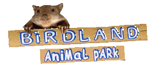 Birdland Animal Park - Stayed