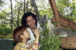 Taronga Zoo - Stayed 2