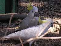 Wirrimbirra Sanctuary - Stayed 1