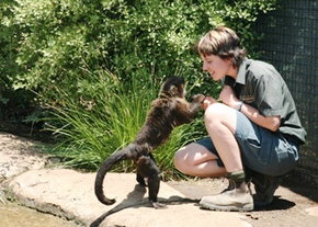 National Zoo & Aquarium - Stayed 1