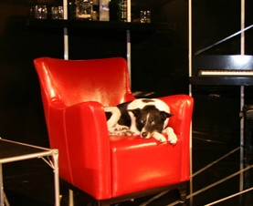 Old Fitzroy Theatre - Stayed 0