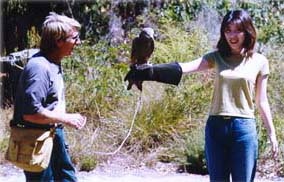 Eagles Heritage - Stayed 2