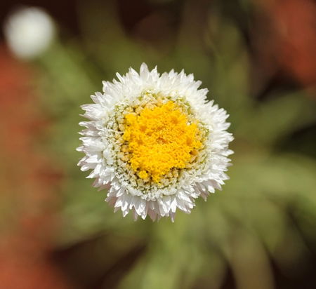 Alice Springs Desert Park - Stayed 1