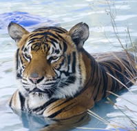 Zoo Doo Wildlife Park - Stayed