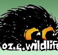 OZe Wildlife - Stayed