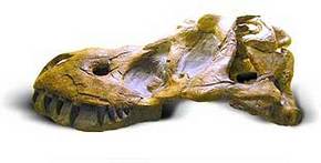 Australia Walkabout Wildlife Park - Stayed 2