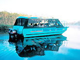 Noosa Everglades Discovery - Stays Accommodation 1