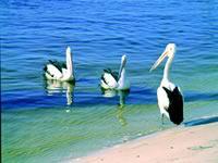 Noosa Everglades Discovery - Stays Accommodation 2