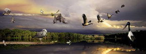 Territory Wildlife Park - Stayed 1
