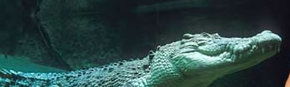 Territory Wildlife Park - Stayed 3
